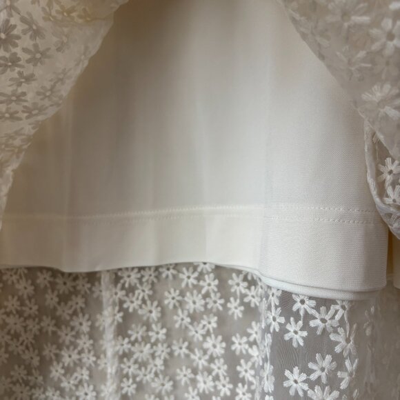 AKRIS Embroidered Floral Sheer Overlay Cream Midi Skirt - Picture 9 of 14